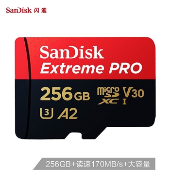 闪迪SDQQXCY-256G-ZN6MA存储卡256G/读取170MB/s(个)